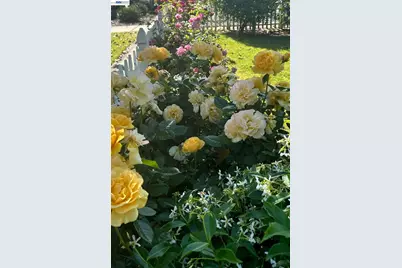 37955 2nd St, Fremont, CA 94536 - Photo 3