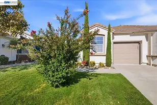 288 Black Amber Way, Brentwood, CA 94513 - Photo 53