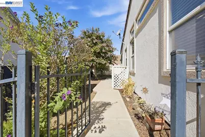 288 Black Amber Way, Brentwood, CA 94513 - Photo 21