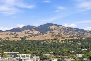 24 Jocelyn Pl, Walnut Creek, CA 94597 - Photo 63