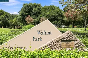 4519 Carnegie Ln, Brentwood, CA 94513 - Photo 47