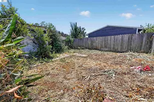 7015 Holly St, Oakland, CA 94621 - Photo 19