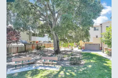 1260 Detroit Ave #4, Concord, CA 94520 - Photo 3