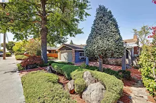 2525 Bruce Dr, Fremont, CA 94539 - Photo 55