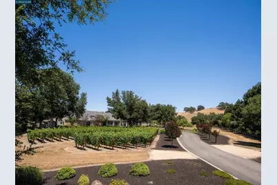 5401 Penny Ln, Danville, CA 94506 - Photo 71