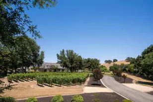 5401 Penny Ln, Danville, CA 94506 - Photo 71