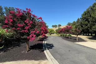 5401 Penny Ln, Danville, CA 94506 - Photo 59