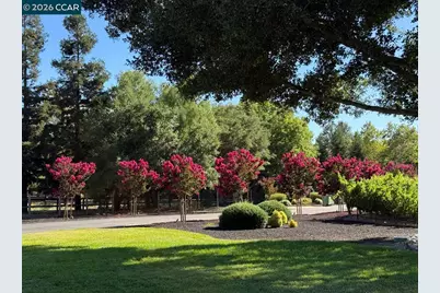 5401 Penny Ln, Danville, CA 94506 - Photo 57