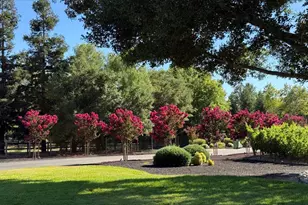 5401 Penny Ln, Danville, CA 94506 - Photo 57
