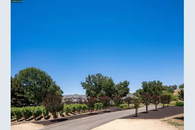 5401 Penny Ln, Danville, CA 94506 - Photo 75