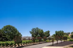 5401 Penny Ln, Danville, CA 94506 - Photo 75
