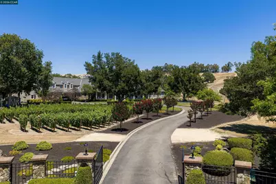5401 Penny Ln, Danville, CA 94506 - Photo 79