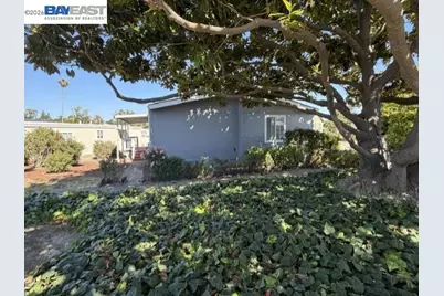 241 Jamaica Circle, Union City, CA 94587 - Photo 43
