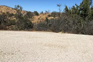 17488 Corral Hollow Rd, Tracy, CA 95377 - Photo 1