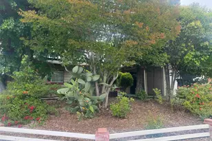 2029 Highland Dr, Concord, CA 94520 - Photo 3