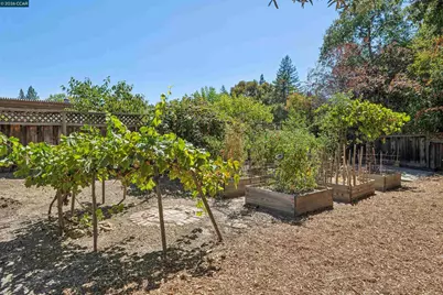 633 Laird Ln, Lafayette, CA 94549 - Photo 31