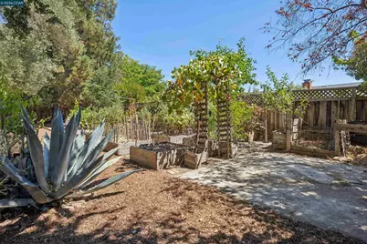 633 Laird Ln, Lafayette, CA 94549 - Photo 35