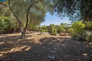 633 Laird Ln, Lafayette, CA 94549 - Photo 27