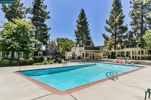 1594 Schenone Ct, Concord, CA 94521 - Photo 33