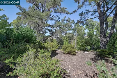 1332 Running Springs Rd #8, Walnut Creek, CA 94595 - Photo 3