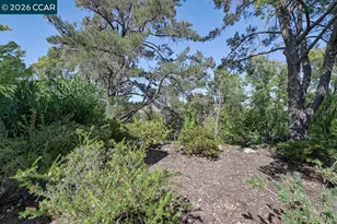 1332 Running Springs Rd, Walnut Creek, CA 94595 - Photo 3