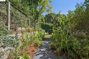 150 Scenic Ave, Piedmont, CA 94611 - Photo 23
