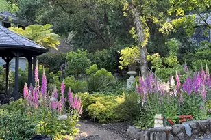 270 Kilkare Rd, Sunol, CA 94586 - Photo 45