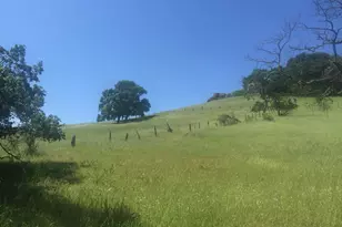 270 Kilkare Rd, Sunol, CA 94586 - Photo 59