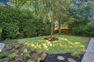 2524 Shadow Mountain Ct, San Ramon, CA 94583 - Photo 39