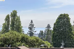 1305 Henry St, Berkeley, CA 94709 - Photo 39