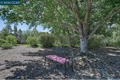 1916 Golden Rain Rd #3, Walnut Creek, CA 94595 - Photo 3
