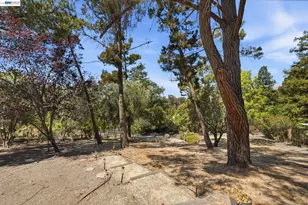 45960 Sentinel Pl, Fremont, CA 94539 - Photo 43
