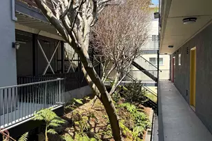 785 Taft Ave, Albany, CA 94706 - Photo 25