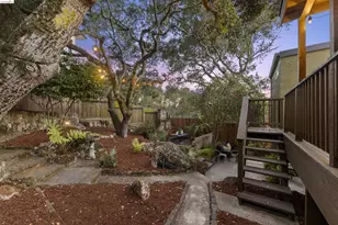 653 San Fernando Ave, Berkeley, CA 94707 - Photo 47