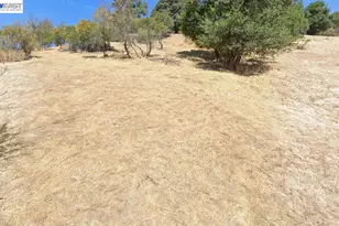 14 Warren St, Martinez, CA 94553 - Photo 1
