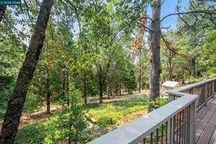 4710 Colorado Ct, Camino, CA 95709 - Photo 39