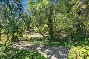 208 Ivy Dr, Orinda, CA 94563 - Photo 29