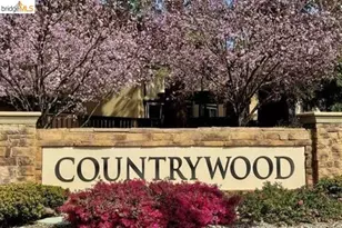 1949 Countrywood Ct, Walnut Creek, CA 94598 - Photo 31