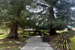1949 Countrywood Ct, Walnut Creek, CA 94598 - Photo 37
