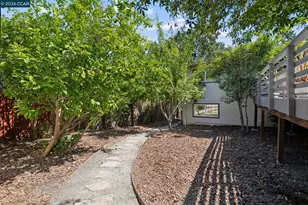 1564 Arbutus Dr, Walnut Creek, CA 94595 - Photo 47