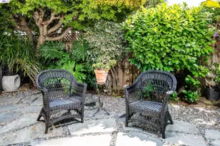3229 Toyon Terrace, Alameda, CA 94501 - Photo 21