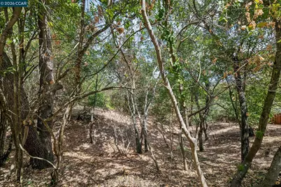 Ridge Road, Lafayette, CA 94549 - Photo 15