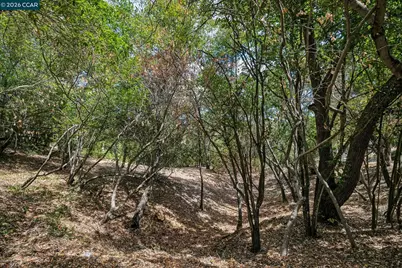 Ridge Road, Lafayette, CA 94549 - Photo 13