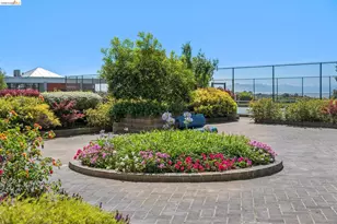 555 Pierce St, Albany, CA 94706 - Photo 47
