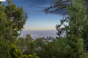 844 Blair Ave, Oakland, CA 94611 - Photo 65