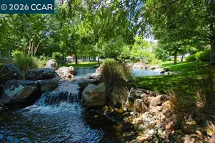 2308 Pine Knoll Dr, Walnut Creek, CA 94595 - Photo 53