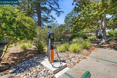 167 Miramonte Dr, Moraga, CA 94556 - Photo 51
