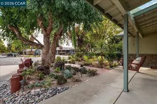31 Rogers Ct, Pleasant Hill, CA 94523 - Photo 41