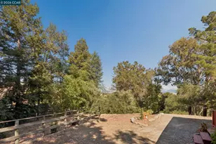 834 Carter Acres Ln, Martinez, CA 94553 - Photo 43