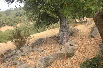 3799 Skyfarm Dr, Santa Rosa, CA 95403 - Photo 15